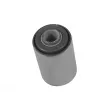 TEDGUM TED20757 - Suspension, ressort à lames