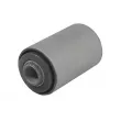 TEDGUM TED20757 - Suspension, ressort à lames
