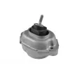 TEDGUM TED21220 - Support moteur