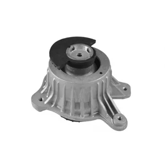 Support moteur TEDGUM TED25884