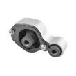 TEDGUM TED34420 - Support moteur