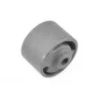 TEDGUM TED36113 - Support moteur