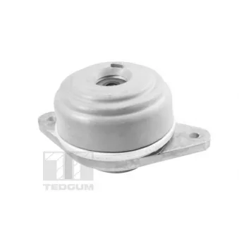 TEDGUM TED37501 - Support moteur