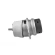 TEDGUM TED38149 - Support moteur