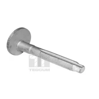 Vis de correction du carrossage TEDGUM TED39597