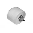 TEDGUM TED41155 - Support moteur avant gauche