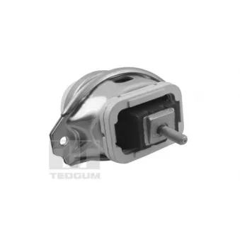 Support moteur TEDGUM TED44341
