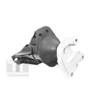 Support moteur TEDGUM TED49865