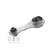 TEDGUM TED50390 - Support moteur