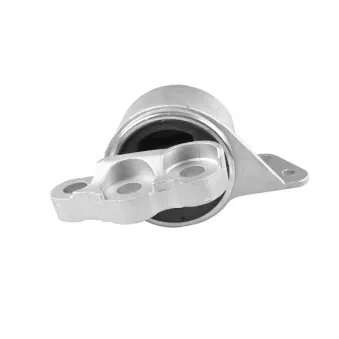 TEDGUM TED53585 - Support moteur avant droit
