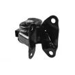 TEDGUM TED55713 - Support moteur avant gauche