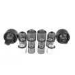 TEDGUM TED56117 - Jeu de douilles de palier, bras transversal