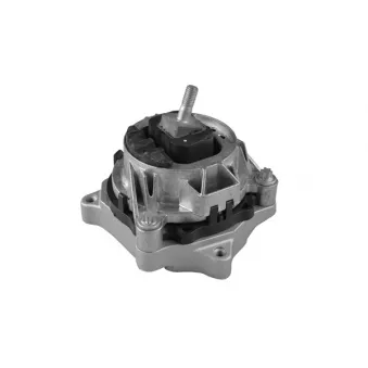 TEDGUM TED56344 - Support moteur