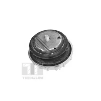 TEDGUM TED57477 - Support moteur