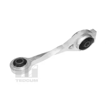 TEDGUM TED57560 - Support moteur