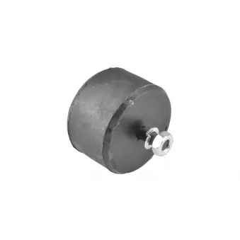 Support moteur TEDGUM TED62421