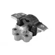 TEDGUM TED66381 - Support moteur avant droit