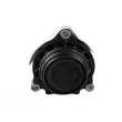 TEDGUM TED68180 - Support moteur