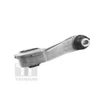 TEDGUM TED72595 - Support moteur