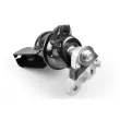 TEDGUM TED76551 - Support moteur avant droit