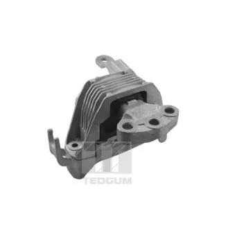 TEDGUM TED86251 - Support moteur avant droit