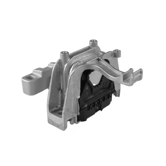 TEDGUM TED94660 - Support moteur