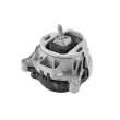 TEDGUM TED97955 - Support moteur