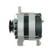 AS-PL A3043 - Alternateur