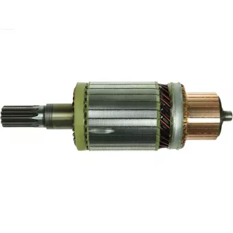 Induit, démarreur AS-PL OEM 213031002