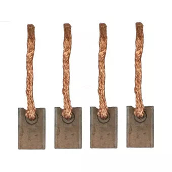 Balais, démarreur AS-PL OEM 21145312