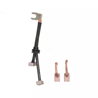 Balais, démarreur AS-PL OEM 211483121