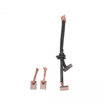 Balais, démarreur AS-PL OEM 211483121