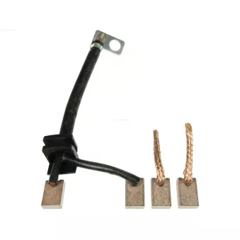 Balais, démarreur AS-PL OEM 211483121