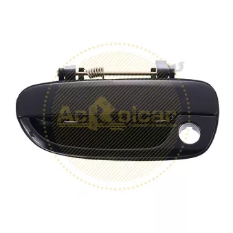 Poignée de porte avant gauche Ac Rolcar [41.7115]