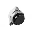 TEDGUM TED17996 - Support moteur