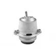 TEDGUM TED25233 - Support moteur
