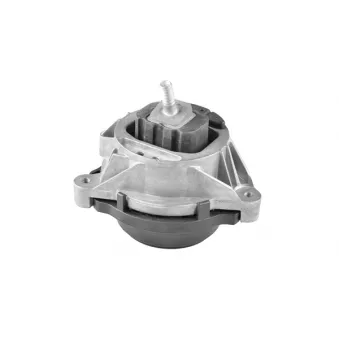 Support moteur avant gauche TEDGUM OEM 22116854251