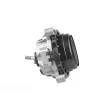 TEDGUM TED36524 - Support moteur avant gauche