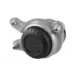 TEDGUM TED38185 - Support moteur