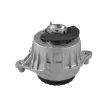 TEDGUM TED51911 - Support moteur
