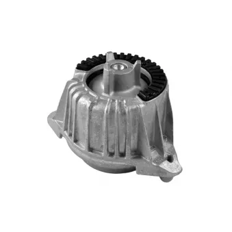 TEDGUM TED53841 - Support moteur