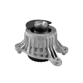 Support moteur TEDGUM OEM A2052406517