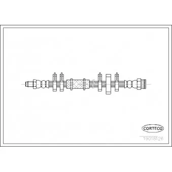 CORTECO 19018126 - Flexible de frein