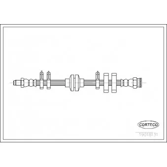 CORTECO 19018131 - Flexible de frein