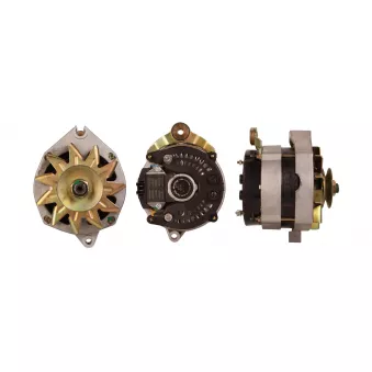 DRI 216105802 - Alternateur