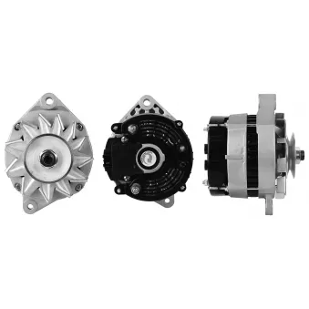 DRI 229136502 - Alternateur