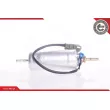 ESEN SKV 02SKV015 - Pompe à carburant