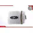 ESEN SKV 02SKV704 - Unité d'injection de carburant