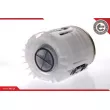 ESEN SKV 02SKV704 - Unité d'injection de carburant