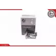 ESEN SKV 02SKV787 - Unité d'injection de carburant